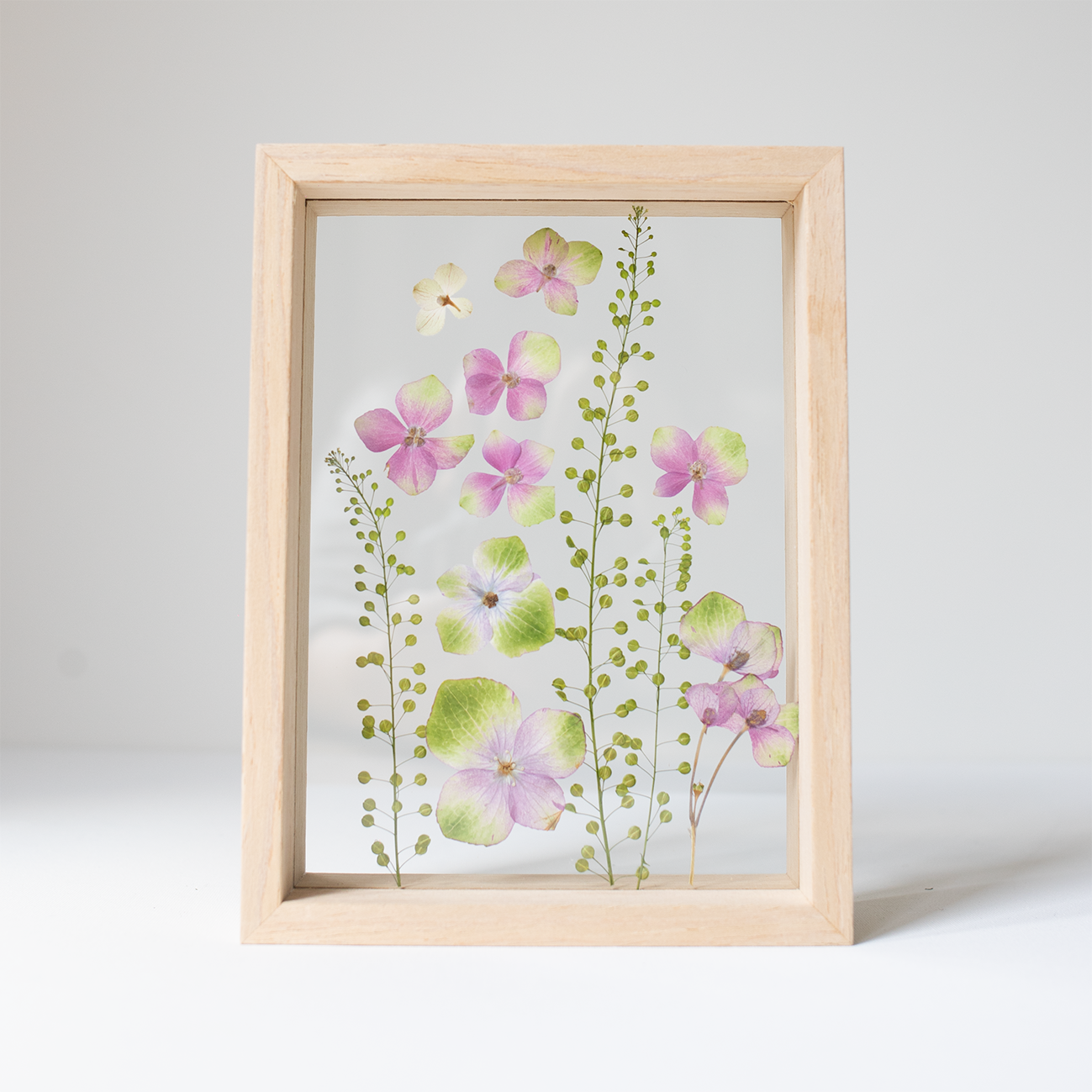 Frame hydrangea- Small