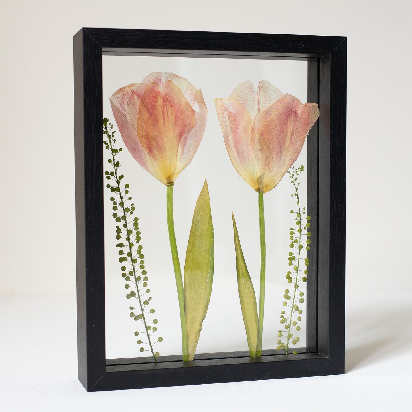 FRAME TULIP 2 medium