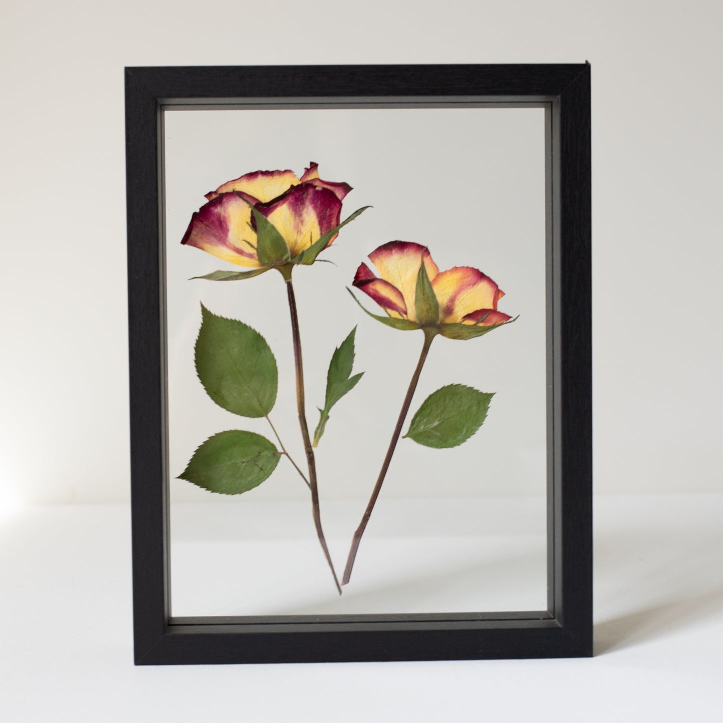FRAME ROSES 2 medium