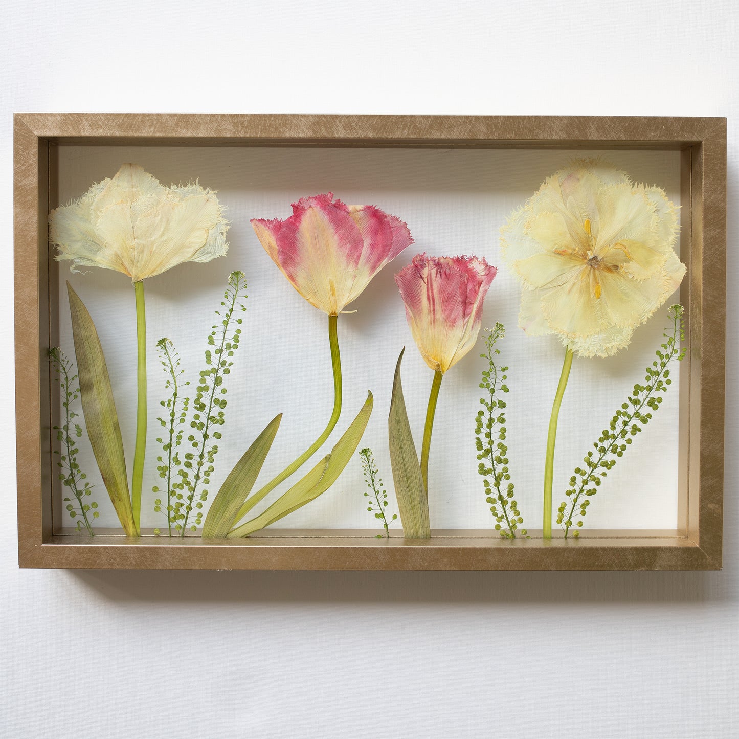 FRAME TULIPS MIX large