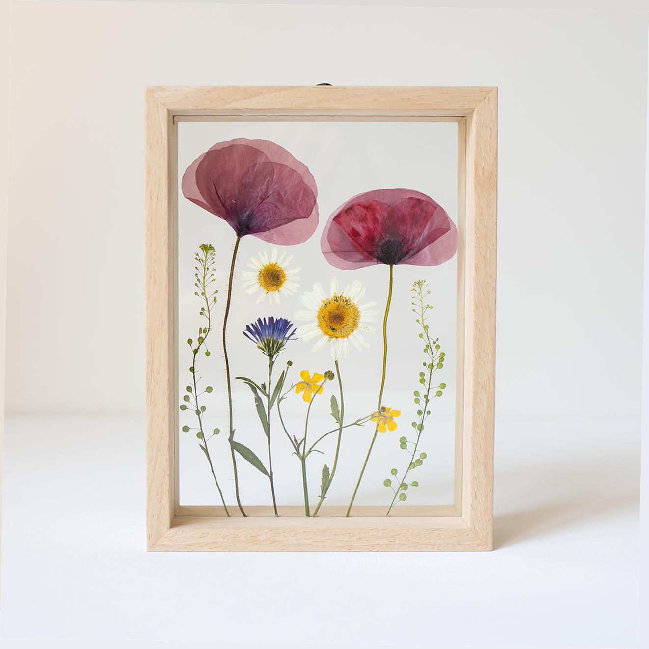 FRAME POPPIES small