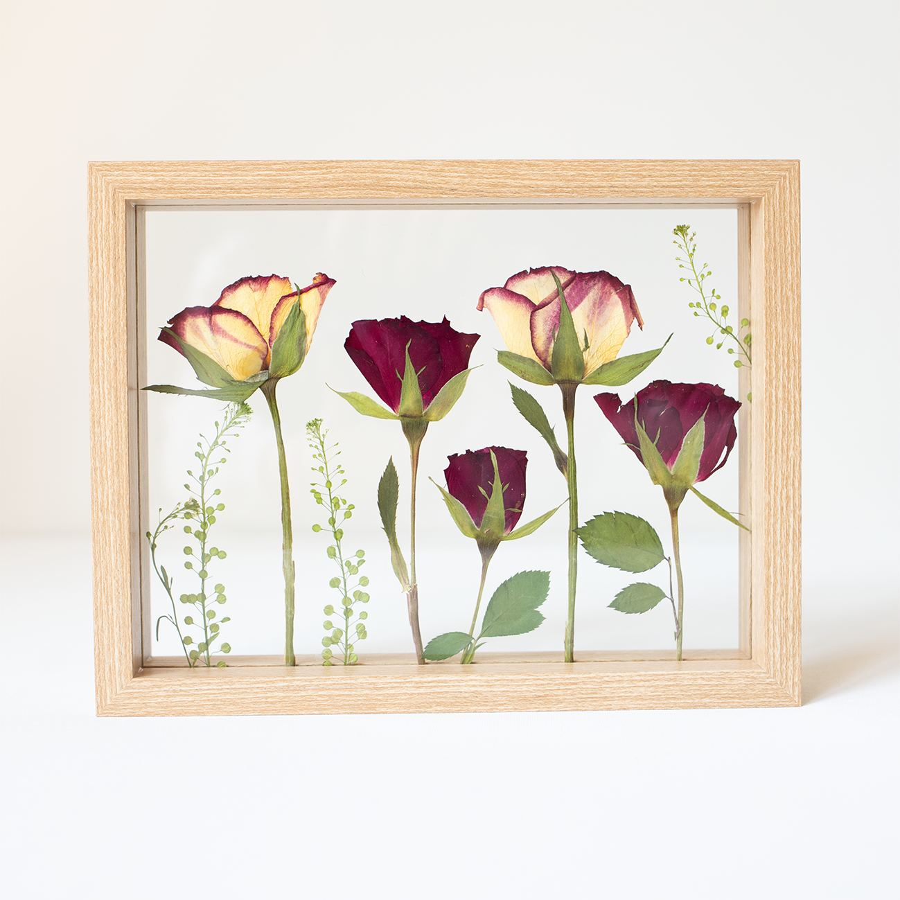 FRAME ROSES medium