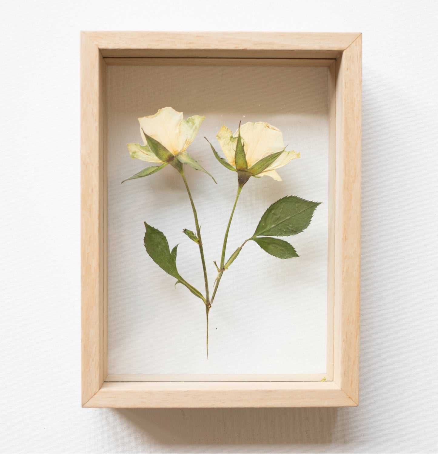 FRAME ROSES WHITE small