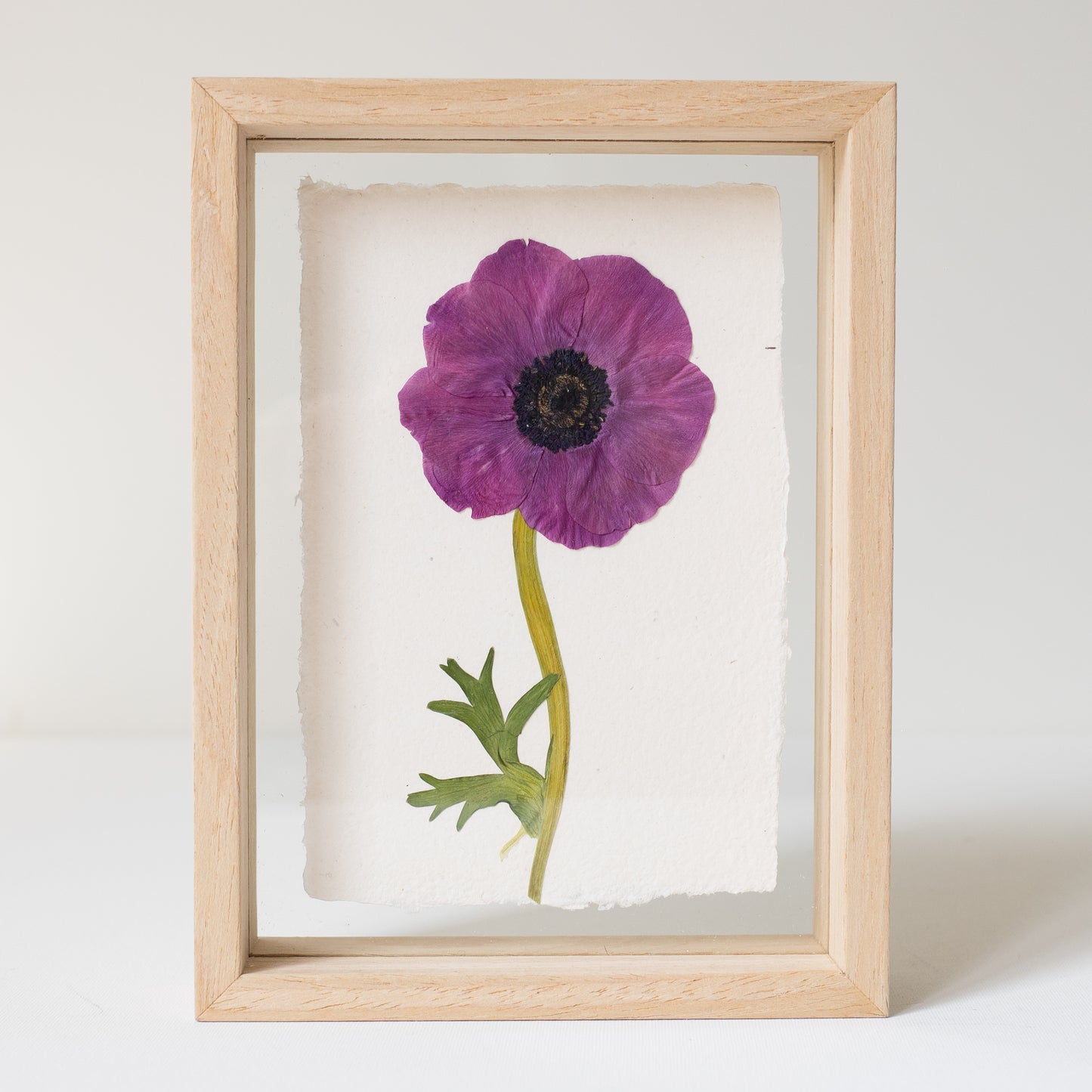 FRAME ANEMONE small