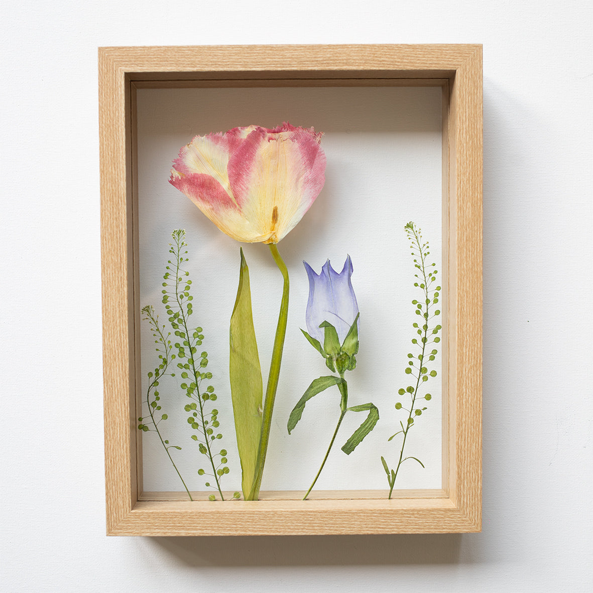 FRAME TULIP MIX medium
