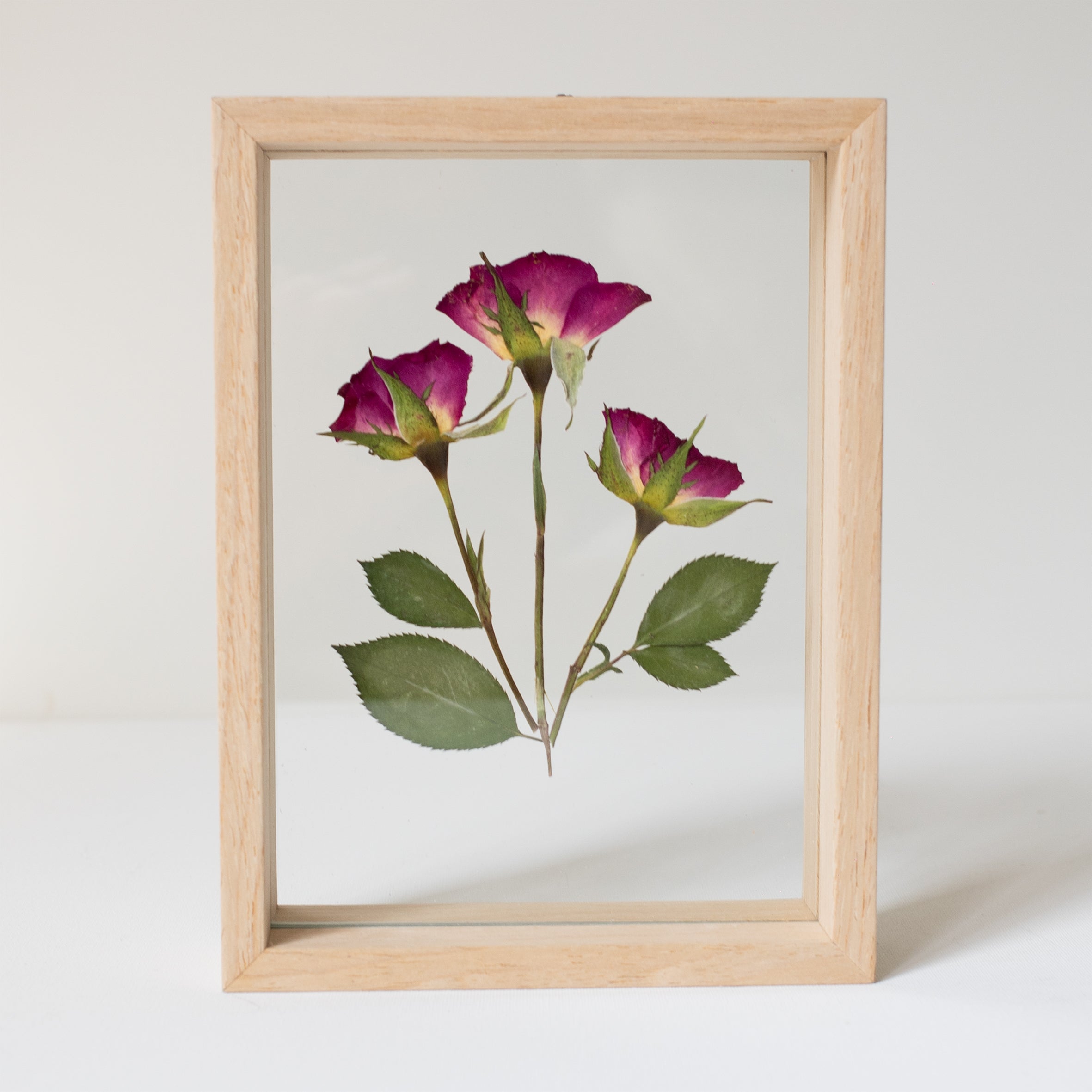 Small Frames – Wild Flower Studio
