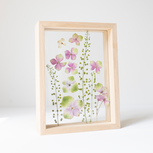 Frame hydrangea- Small