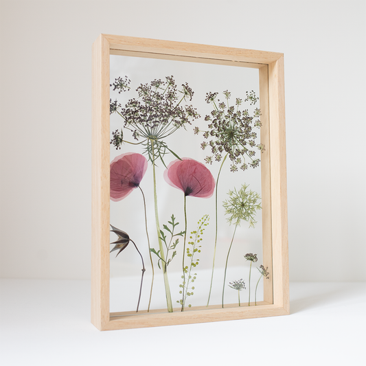 Frame Poppies mix- Large