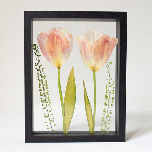 FRAME TULIP 2 medium