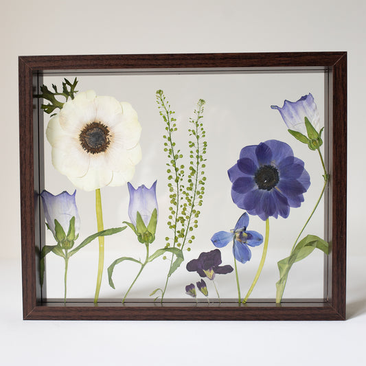 FRAME ANEMONE MIX. large