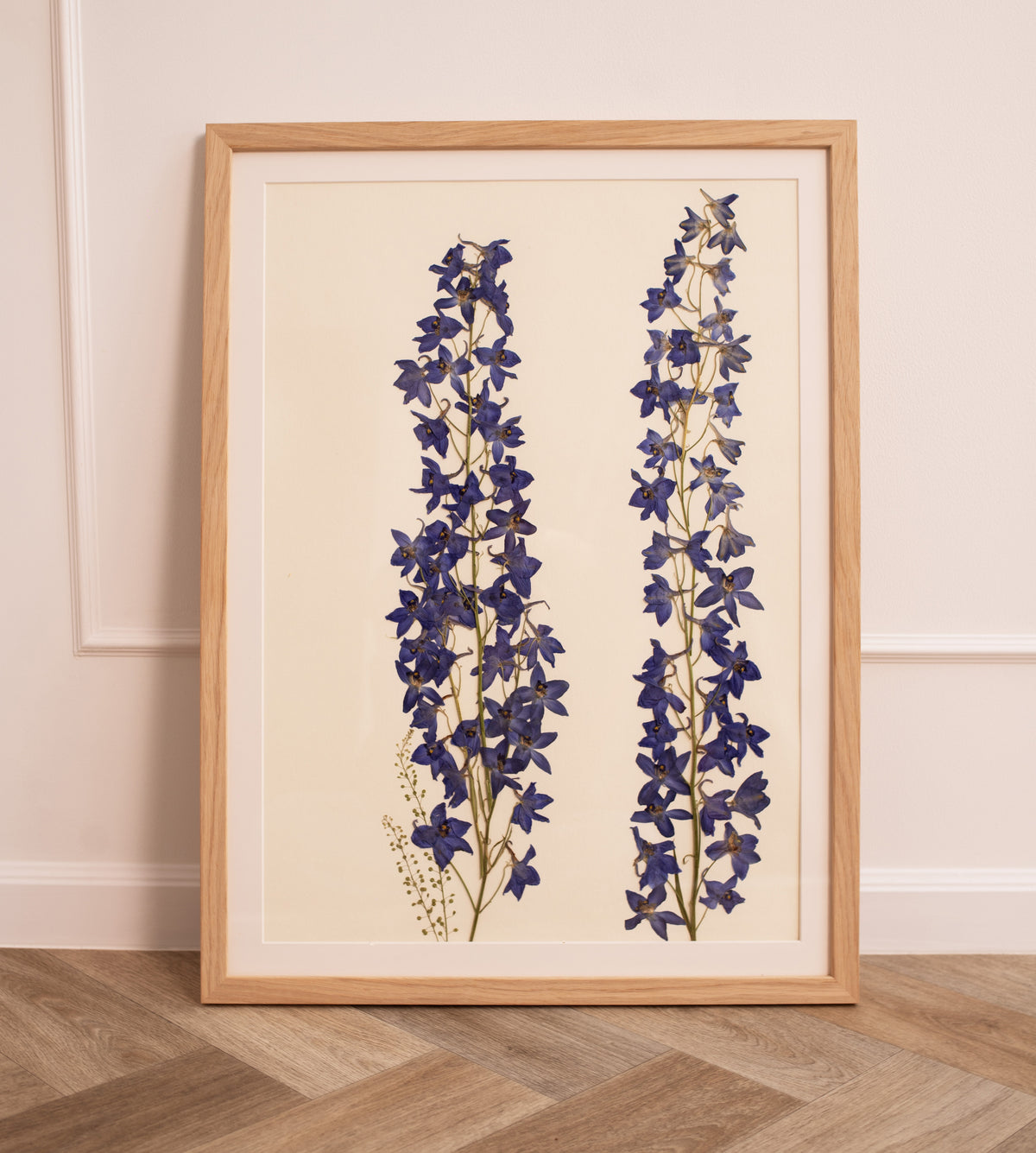 Delphinium Abstract