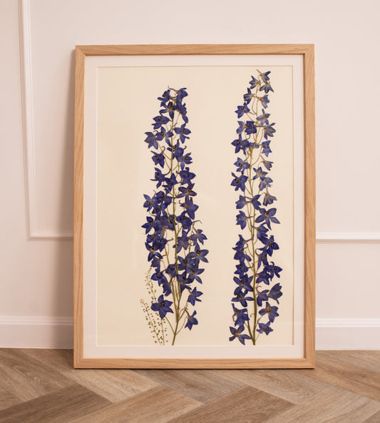 Delphinium Abstract