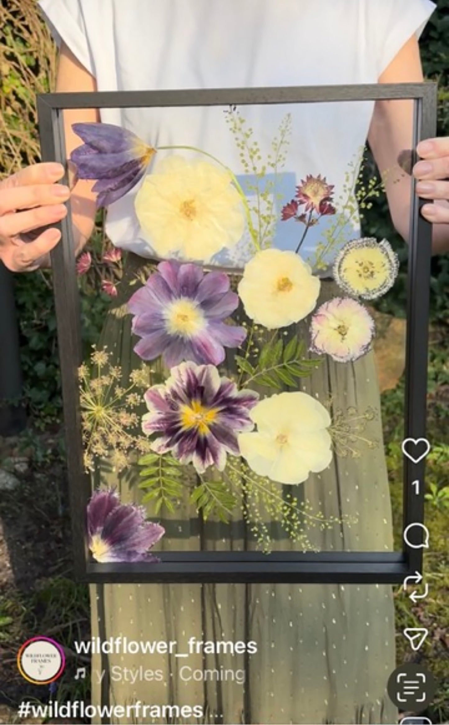 Frame Tulips mix- X- Large
