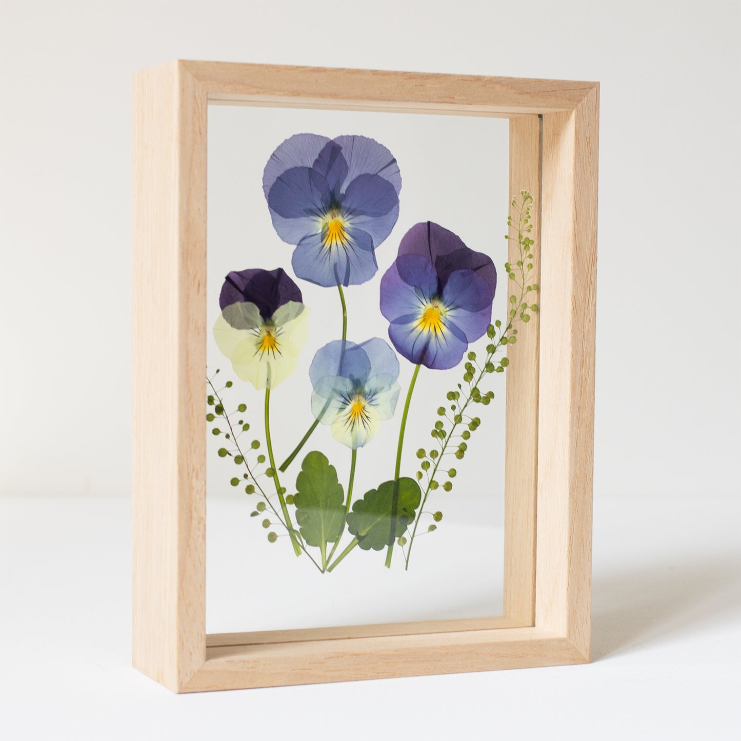 FRAME PANSIES small
