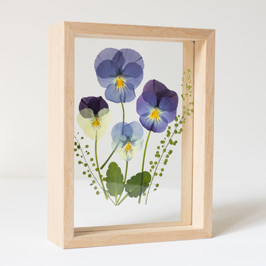 FRAME PANSIES small