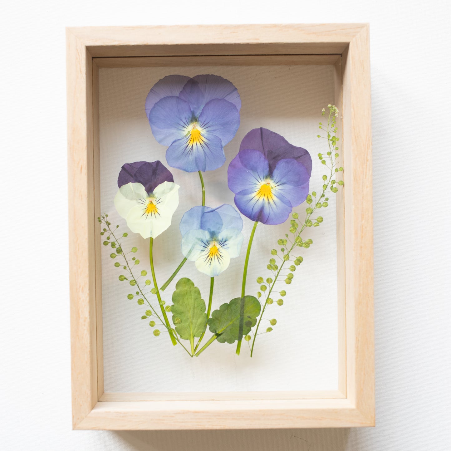 FRAME PANSIES small