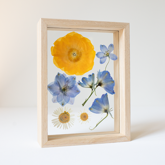 FRAME DELPHINIUM ranunculus mix small