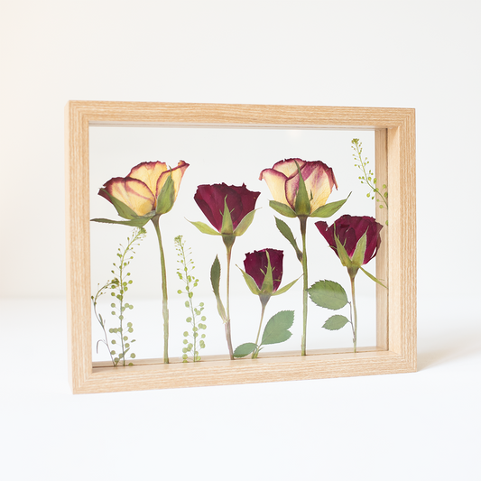 FRAME ROSES medium