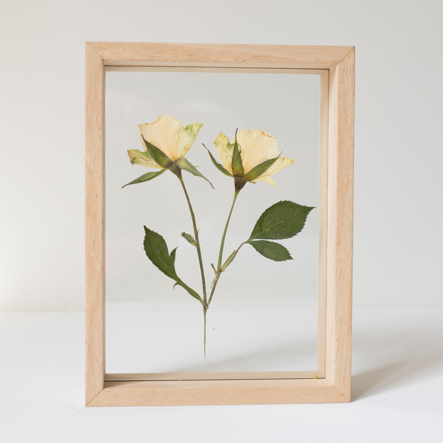 FRAME ROSES WHITE small