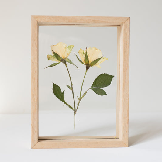 FRAME ROSES WHITE small
