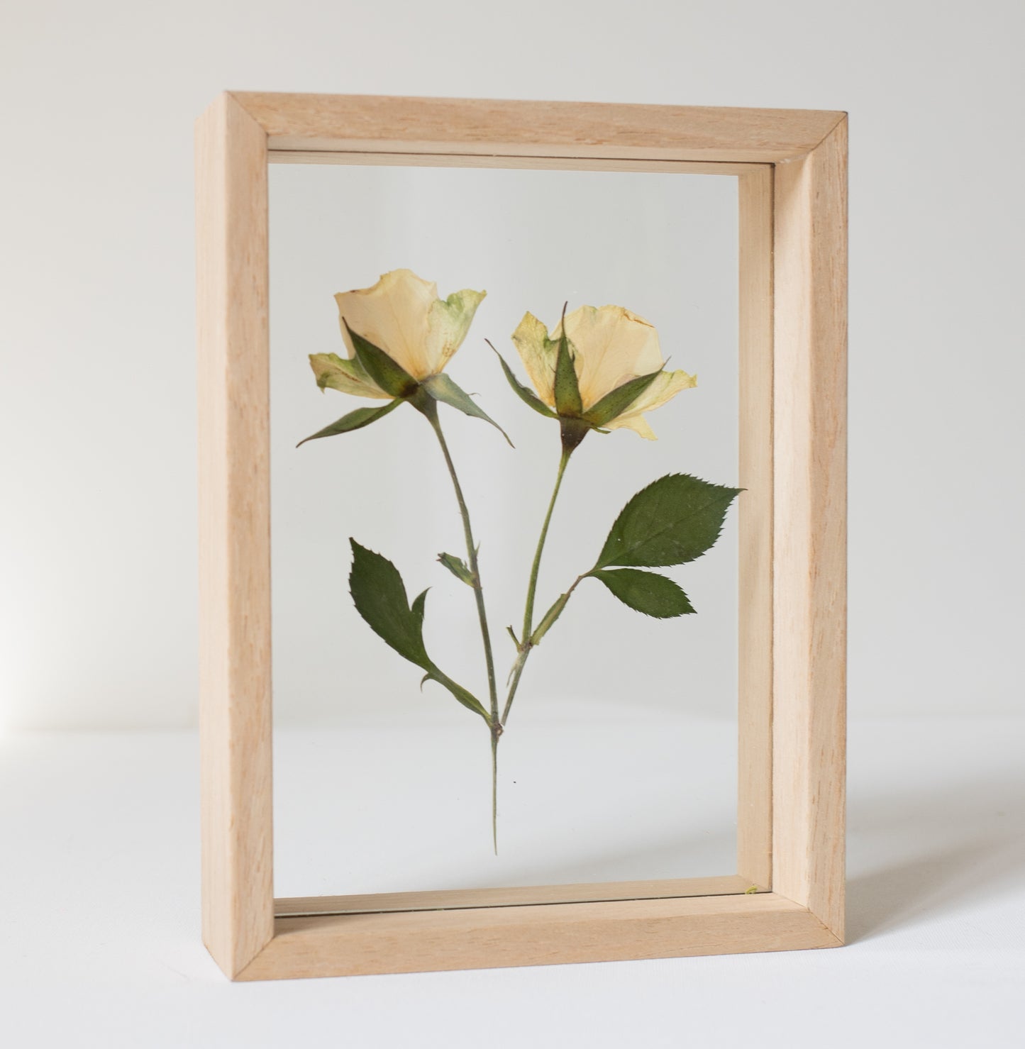 FRAME ROSES WHITE small