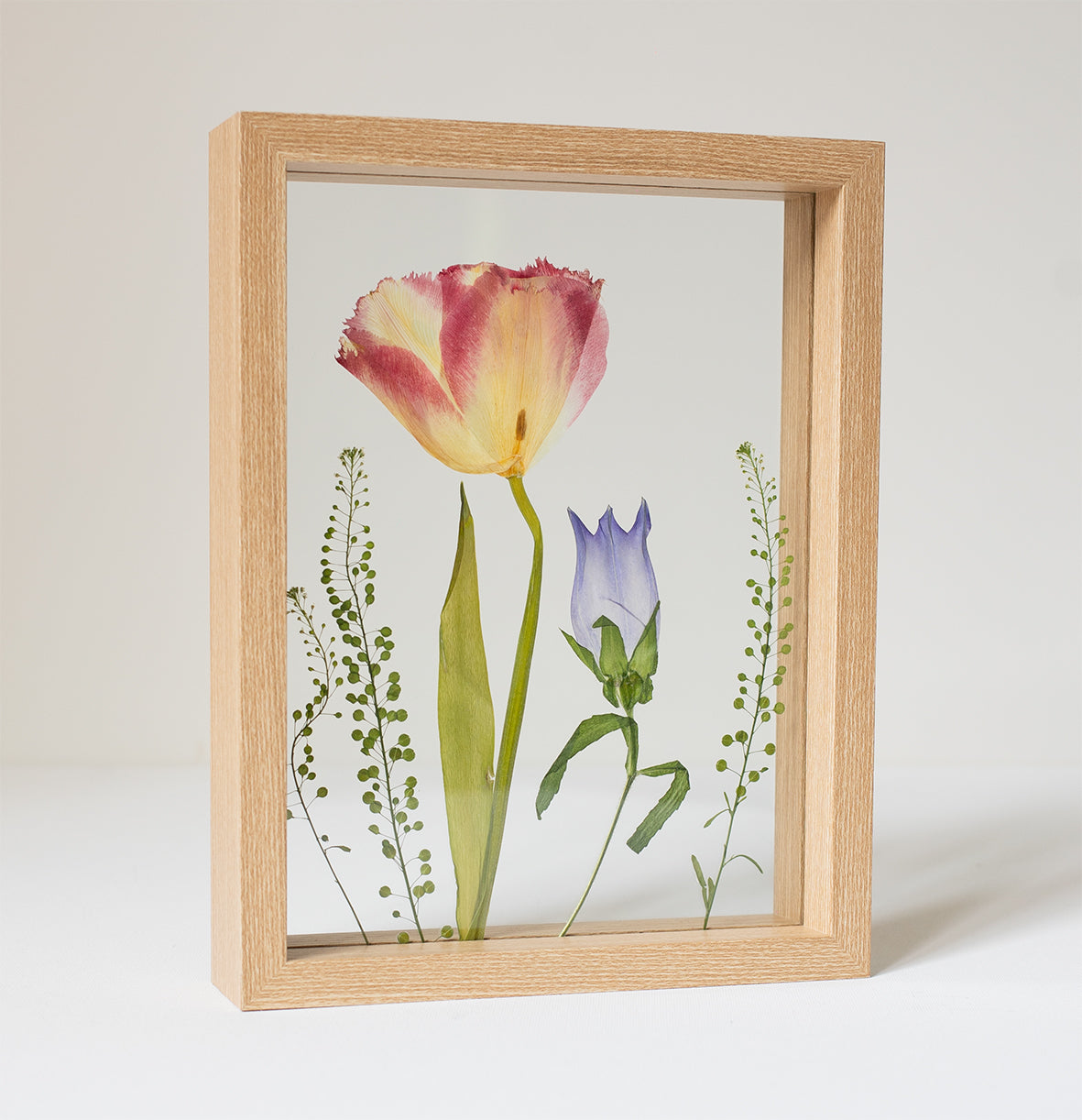 FRAME TULIP MIX medium