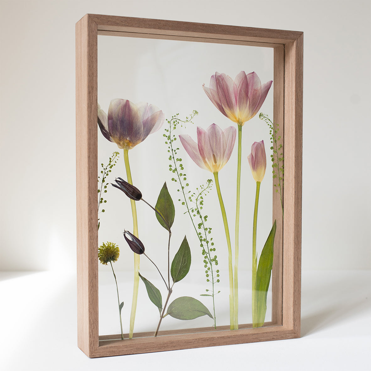 FRAME TULIPS MIX large