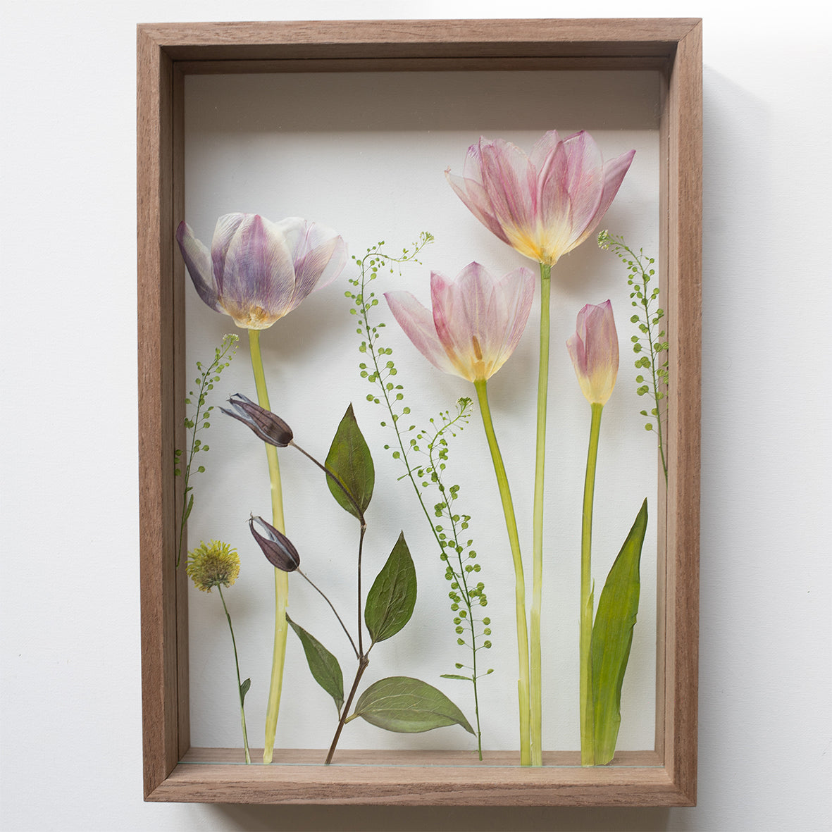 FRAME TULIPS MIX large