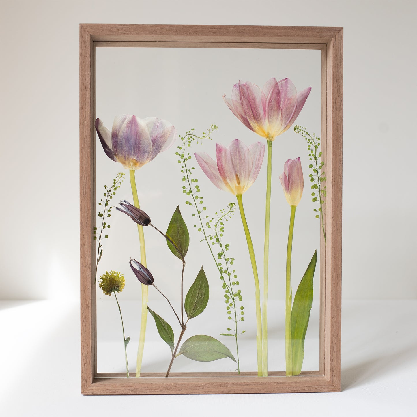 FRAME TULIPS MIX large