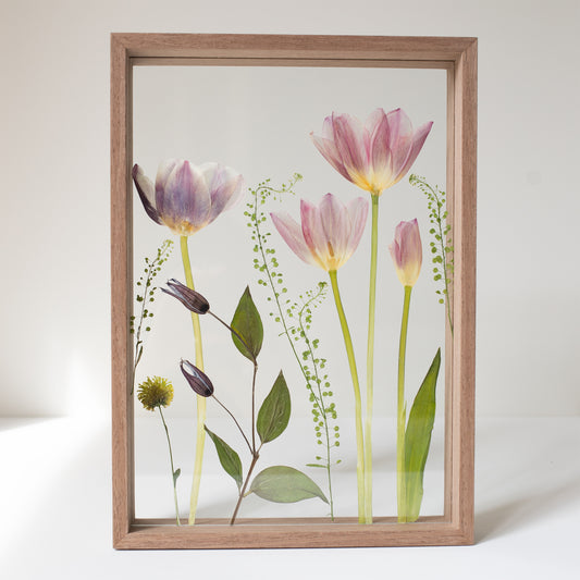 FRAME TULIPS MIX large